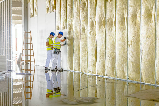 Best Commercial Insulation in De Pere, WI